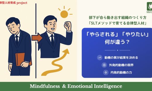 SLT 自立型人材育成