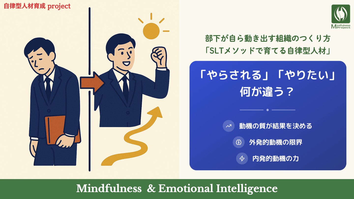 SLT 自立型人材育成