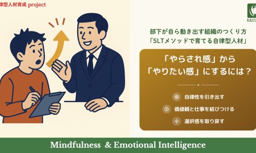 SLT 自立型人材育成