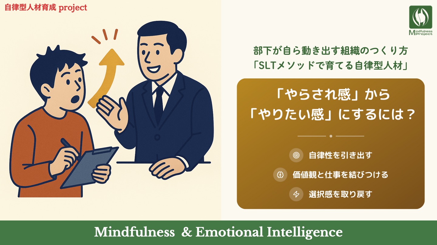 SLT 自立型人材育成