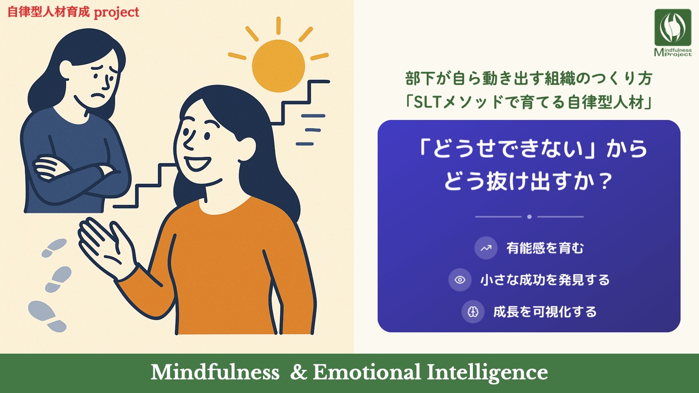 SLT 自立型人材育成